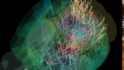 neurons